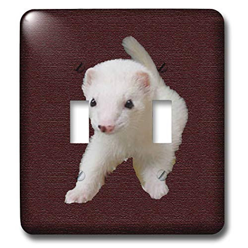 3dRose lsp-17290-2 Baby Albino Ferret Toggle Switch 3dRose lsp-17290-2 Baby Albino Ferret Toggle Switch