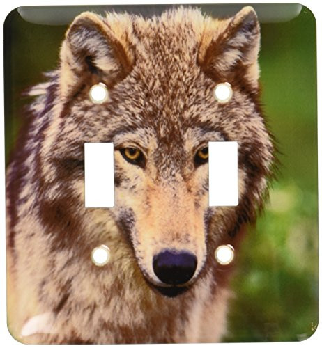 3dRose lsp-92147-2 North America USA Montana_ Wolf wildlife-US27 TVE0006-Tom Vezo Double Toggle Switch Multicolor