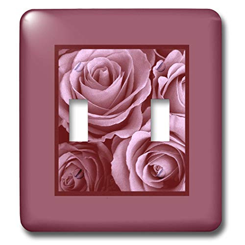 3dRose lsp-29964-2 Pastel Mauve Pink Roses Surrounded By A Rich Mauve Frame Double Toggle Switch