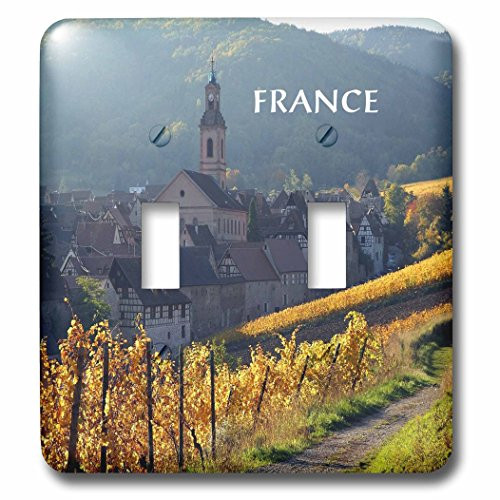 3dRose lsp-80760-2 Village In France Double Toggle Switch