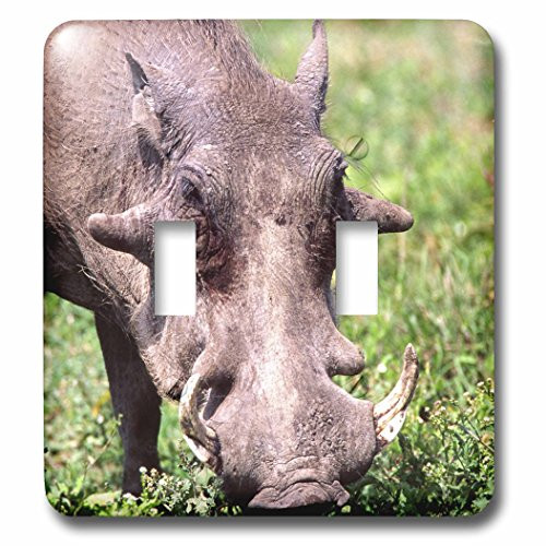 3dRose lsp-83933-2 Common Warthog Wildlife Tanzania Africa Na02 Dno0387 David Northcott Double Toggle Switch