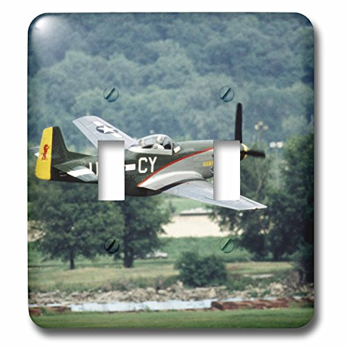 3dRose lsp-91303-2 North American P51 D Mustang War plane US24 BFR0082 Bernard Friel Double Toggle Switch 3dRose lsp-91303-2 North American P51 D Mustang War plane US24 BFR0082 Bernard Friel Double Toggle Switch