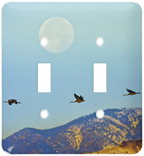 3dRose lsp-145155-2 Usa New Mexico Sandhill Crane Birds Flying Us32 Bjy0008 Jaynes Gallery Double Toggle Switch
