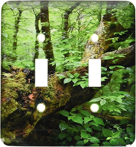 3dRose lsp-28764-2 Fallen Tree in Forest - Double Toggle Switch