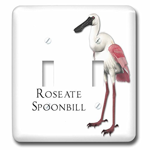 3dRose lsp-51591-2 Roseate Spoonbill Shorebird Double Toggle Switch