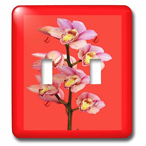 3dRose lsp-80387-2 Oriental Pink Orchids on Red Double Toggle Switch