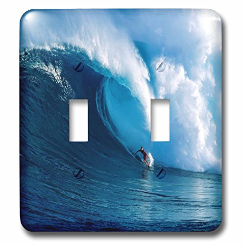 3dRose lsp-80878-2 Surfing The Big One Double Toggle Switch