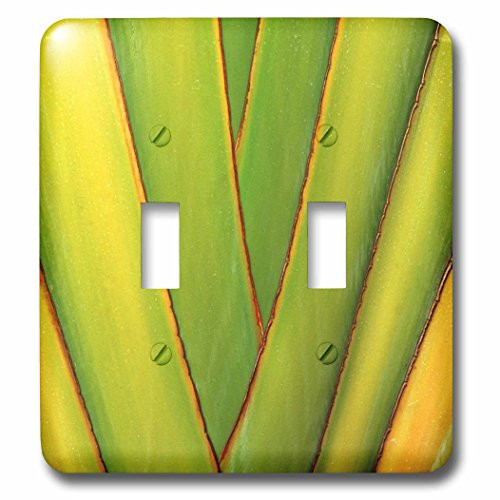 3dRose lsp-89502-2 Hawaii Big Island Tropical Plant Abstract Us12 Bja0009 Jaynes Gallery Double Toggle Switch