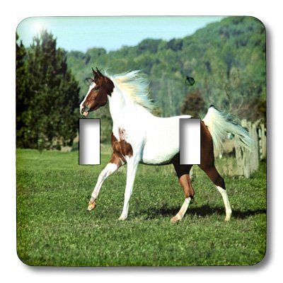 3dRose LLC lsp-53228-2 Beautiful Arab Pinto Horse Double Toggle Switch
