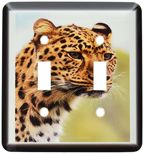 3dRose lsp-54129-2 Cheetah Upclose Toggle Switch