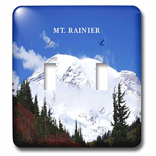 3dRose lsp-62528-2 Mt Rainier With Snow Double Toggle Switch