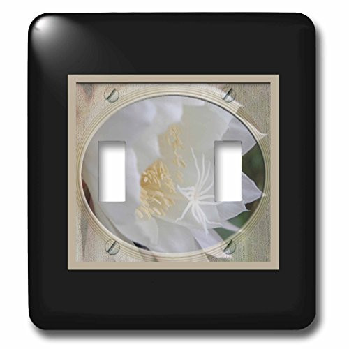 3dRose lsp-62822-2 Queen of the Night in Oval Frame Double Toggle Switch