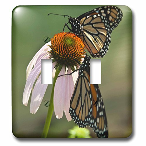 3dRose lsp-98377-2 2 Monarch Butterflies On Pink Flower Double Toggle Switch Multicolored