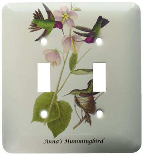 3dRose lsp-114060-2 Annas Hummingbird By John James Audubon Double Toggle Switch 3dRose lsp-114060-2 Annas Hummingbird By John James Audubon Double Toggle Switch