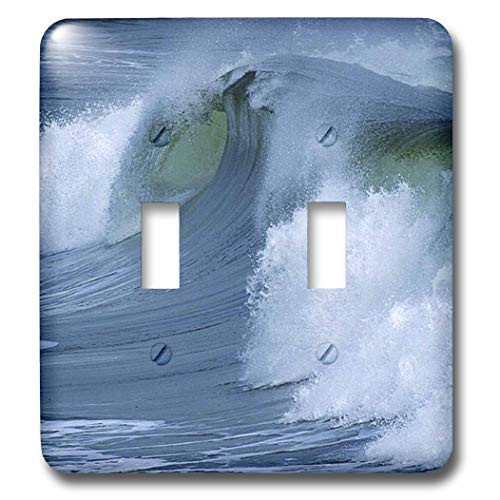 3dRose lsp-41746-2 Double Toggle Switch with Large Ocean Waves Li