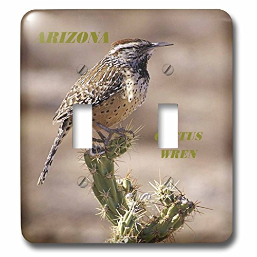 3dRose lsp-50933-2 State Bird Of Arizona Cactus Wren Toggle Switch