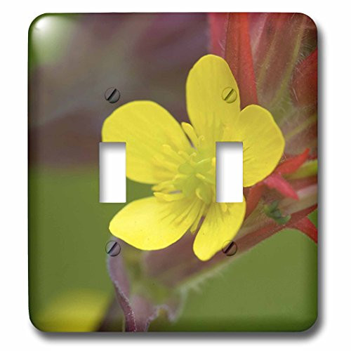 3dRose lsp-87336-2 Alaska Buttercup And Paintbrush Flowers Us02 Bja0066 Jaynes Gallery Double Toggle Switch