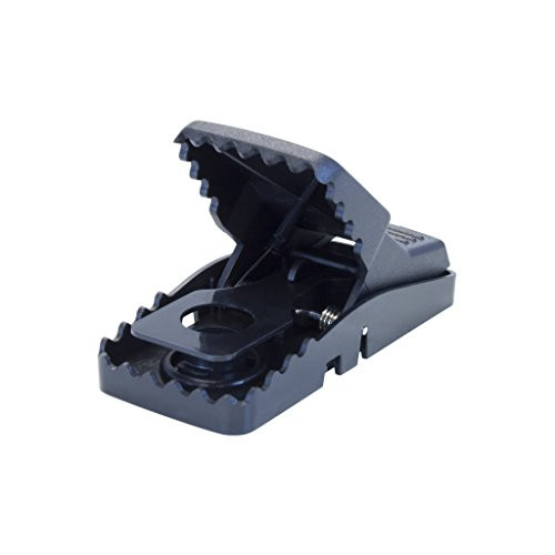 1 Mini T-rex Mouse Mice Snap Trap ~~ Trex Easy Set Re-usable Trap ~~ Control and Kill Mice  Better then the Snap-E Mouse Trap and Victor Traps