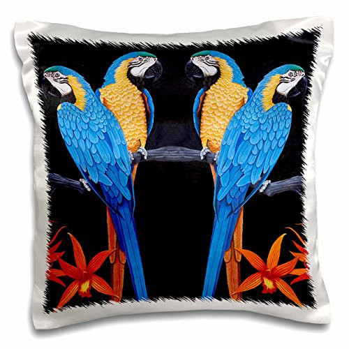 3dRose pc-3213-1 Blue Gold Macaws-Pillow Case 16 by 16