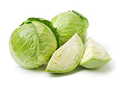 Late Flat Dutch Cabbage Seeds 1000 Heirloom Seeds Per Packet Non GMO Seeds