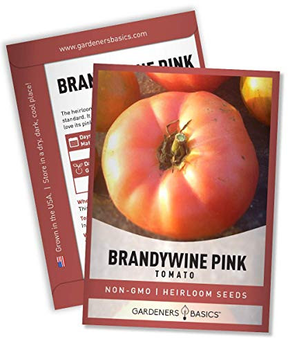 Brandywine Pink Tomato Seeds for Planting Heirloom Non-GMO Seeds for Home Garden Vegetables Makes a Great Gift for Gardening by Gardeners Basics