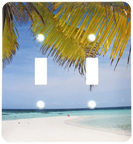 3dRose lsp_206940_2 Belize Goff Caye Barrier Reef island, Palm tree and white sand beach Double Toggle Switch Multicolor
