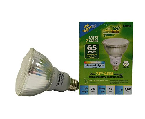 Earth Bulb CFL Natural Light 5000K PAR 30 700 Lumens 15 Watts Equivalent to 65 Watts Energy Saver Flood Light
