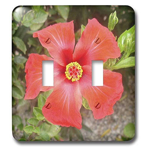 3dRose lsp-46819-2 Tropical Hibiscus Toggle Switch