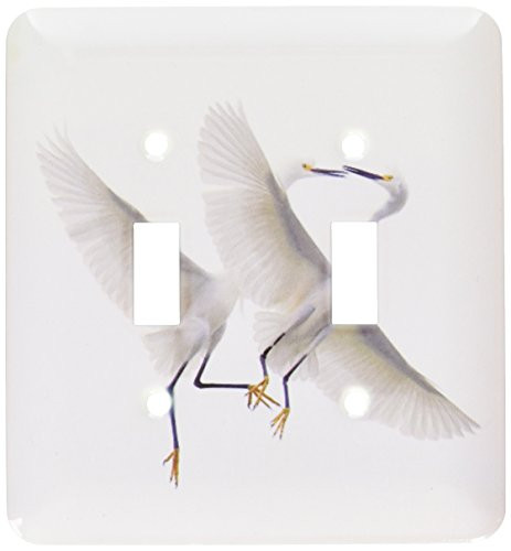 3dRose lsp-89037-2 Florida Snowy Egret Birds Us10 Bja0004 Jaynes Gallery Double Toggle Switch