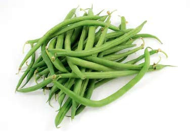 Tendergreen Green Bean Seeds 50 Heirloom Seeds Per Packet Non GMO Seeds