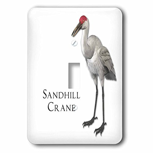3dRose lsp-51595-1 Sandhill Crane Shorebird Toggle Switch