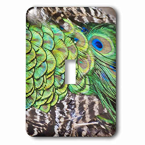 3dRose lsp-132881-1 Peacock Feathers Manila Philippines As29 Ksu0017 Keren Su Single Toggle Switch