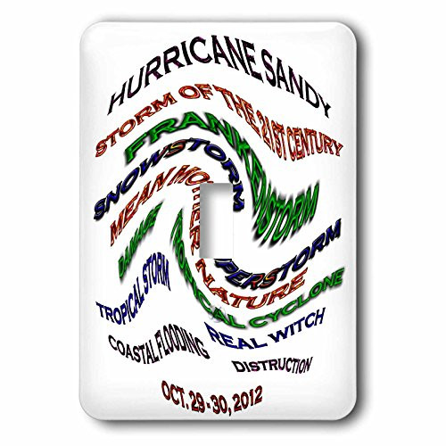 3dRose lsp-76778-1 Hurricane Sandy Words Single Toggle Switch