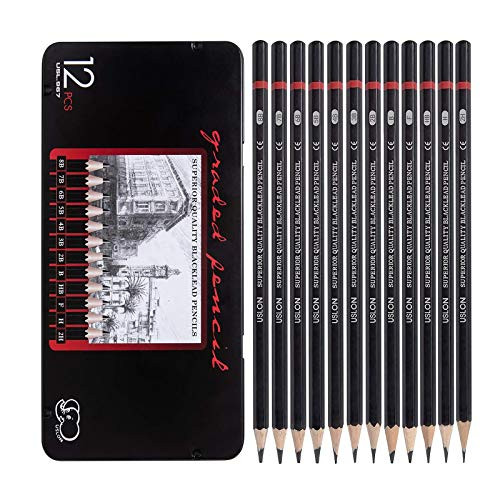 Professional Drawing Sketch Pencils Set of 12 Medium 8B - 2H Artist Pencils for Beginners  and  Pro Artists?Ideal for Drawing Art Sketching Shading