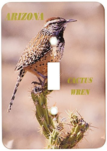 3dRose lsp-50933-1 State Bird Of Arizona Cactus Wren Single Toggle Switch