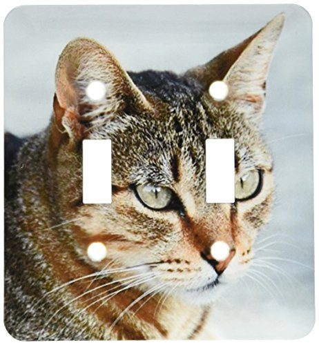 3dRose LLC lsp-17650-2 Cat Tabby Double Toggle Switch