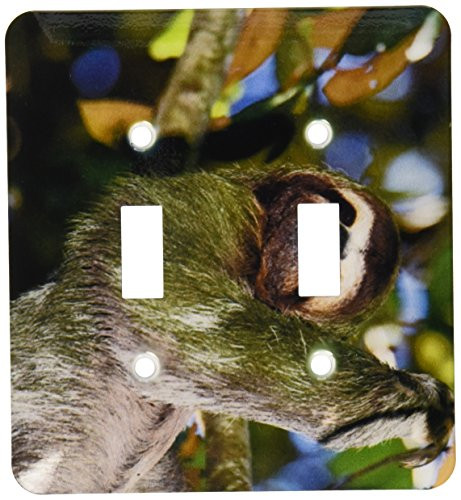 3dRose lsp-84631-2 Brown Throated Threetoed Sloth Wildlife Na02 Rnu0815 Rolf Nussbaumer Double Toggle Switch