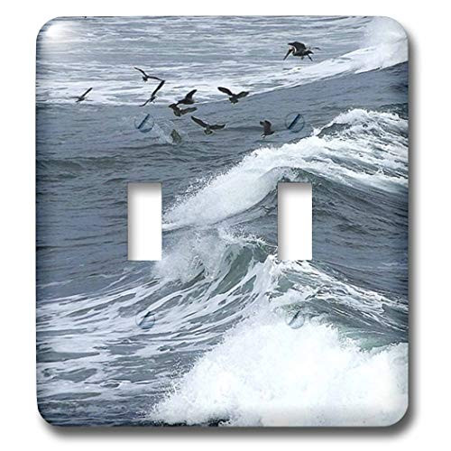 3dRose lsp-41747-2 Ocean Waves With Pelicans Double Toggle Switch