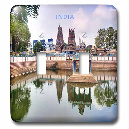 3dRose lsp-80276-2Hindu Temple In India Double Toggle Switch