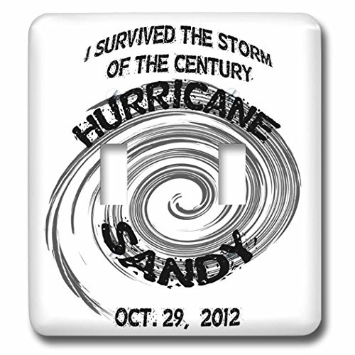 3dRose lsp-76777-2 I Survived Hurricane Sandy Double Toggle Switch