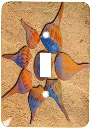 3dRose lsp-52457-1 Seashells In The Sand Toggle Switch