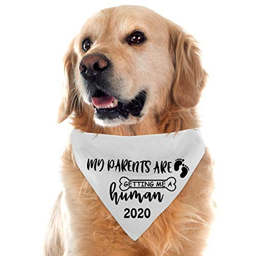 Yangmics Direct My Parents are Getting me a Humans Dog Bandanas