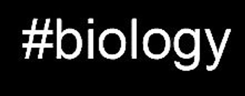 LLI BIOLOGY Decal Vinyl Sticker  Cars Trucks Vans Walls Laptop White  5_5 x 1_5 in  LLI732