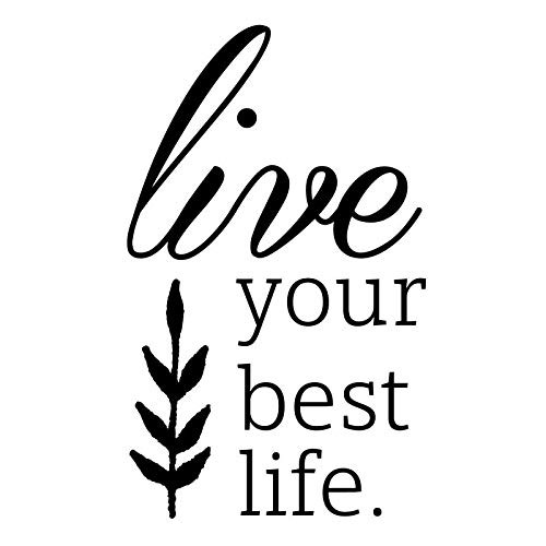 Live Your Best Life NOK Decal Vinyl Sticker Cars Trucks Vans Walls LaptopBlack5_5 x 3_5 inNOK198 Live Your Best Life NOK Decal Vinyl Sticker Cars Trucks Vans Walls LaptopBlack5_5 x 3_5 inNOK198