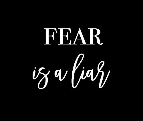 LLI Fear is A Liar Decal Vinyl Sticker Cars Trucks Vans Walls Laptop White 5_5 x 4_3 in LLI1608 LLI Fear is A Liar Decal Vinyl Sticker Cars Trucks Vans Walls Laptop White 5_5 x 4_3 in LLI1608
