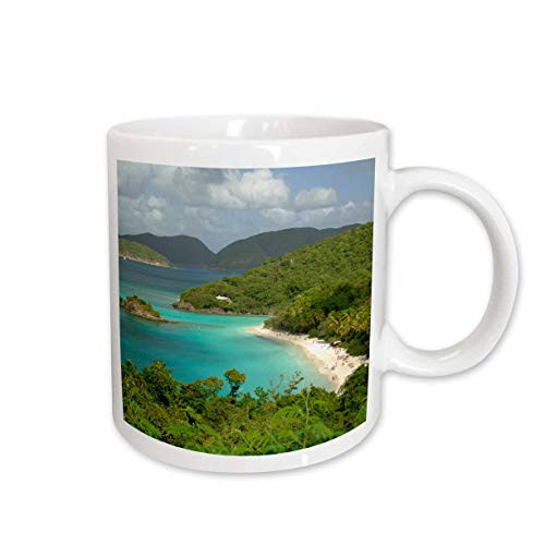 3dRose mug_70005_2"USVI, St. John, Trunk Bay, Virgin Islands NP-CA37 CMI0147 - Cindy Miller Hopkins" Ceramic Mug, 15 oz, Multicolor