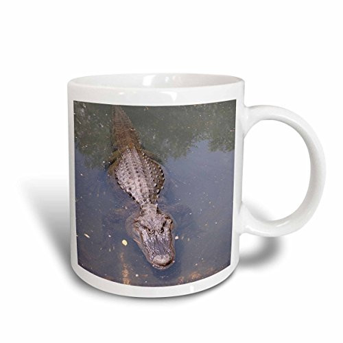 3dRose Alligator Ceramic Mug, 15-Ounce 3dRose Alligator Ceramic Mug, 15-Ounce