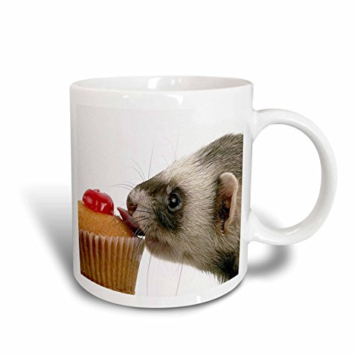 3dRose Ferret Eating Cupcake Ceramic Mug, 15-Ounce