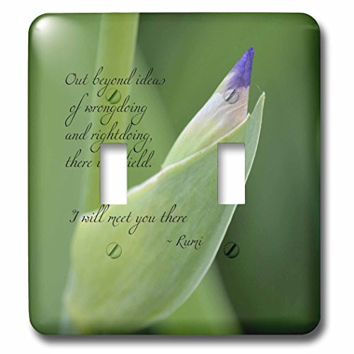 3dRose lsp-51374-2 Out Beyond Ideas Rumi Quote Toggle Switch 3dRose lsp-51374-2 Out Beyond Ideas Rumi Quote Toggle Switch