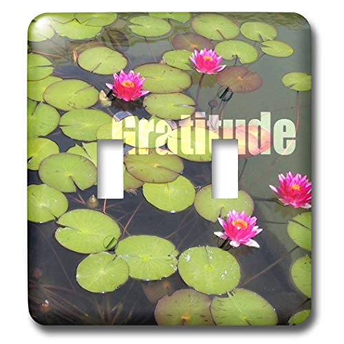 3dRose lsp-45275-2 Lotus Flowers And Lily Pads Toggle Switch